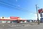 ドラックストア　ツルハドラッグ秋田寺内店（ドラッグストア）まで500m