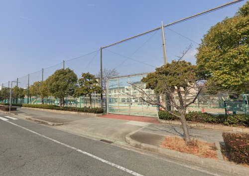 小学校　神戸市立向洋小学校（小学校）まで581m