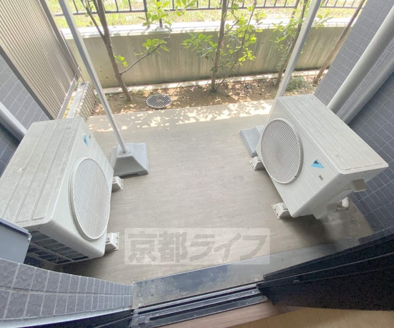 庭