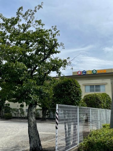 幼稚園・保育園　まごころ保育園（幼稚園・保育園）まで888m