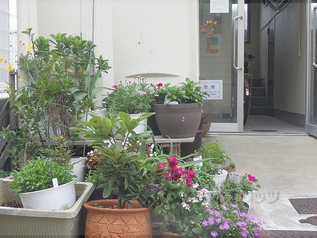 その他共有部分　植栽