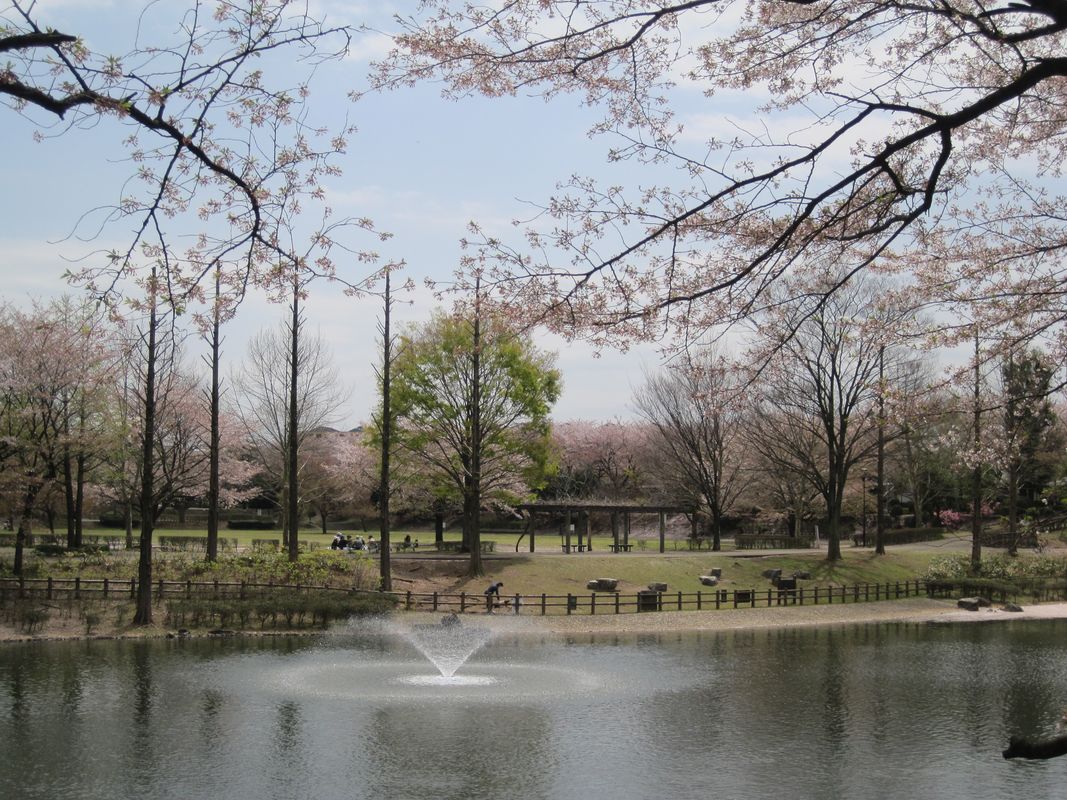 公園　御伊勢塚公園（公園）まで968m