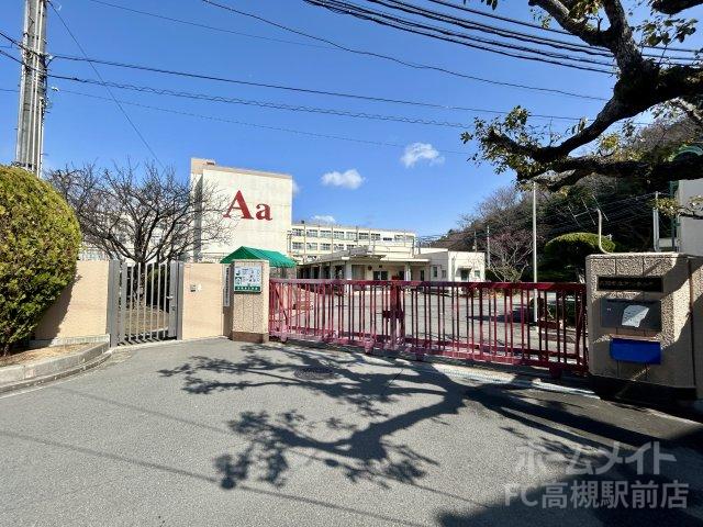 小学校　高槻市立安岡寺小学校（小学校）まで263m