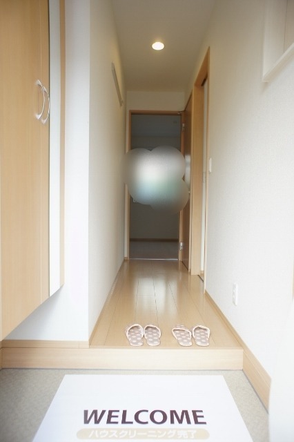 玄関　図面と現状に相違がある場合には現状を優先