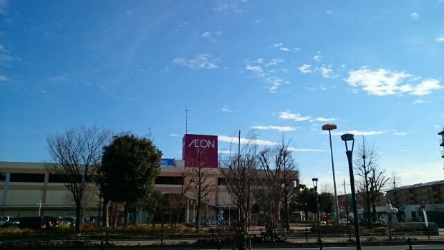 スーパー　イオン東鷲宮店（スーパー）まで1200m