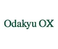スーパー　OdakyuOX読売ランド店（スーパー）まで379m