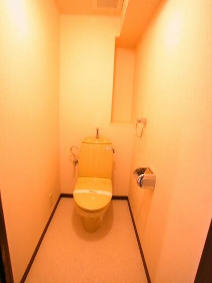 ライオンズマンション豊橋牧野のトイレ写真