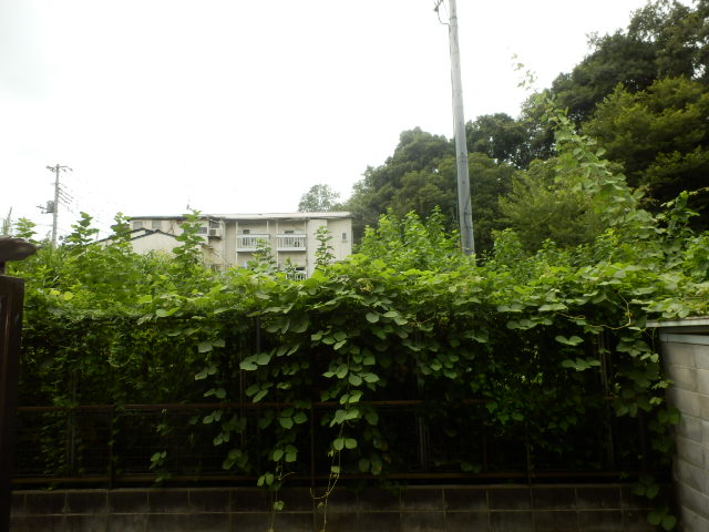 眺望　参考・別室