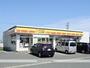 コンビニ　デイリーヤマザキ浜松坪井町店（コンビニ）まで737m