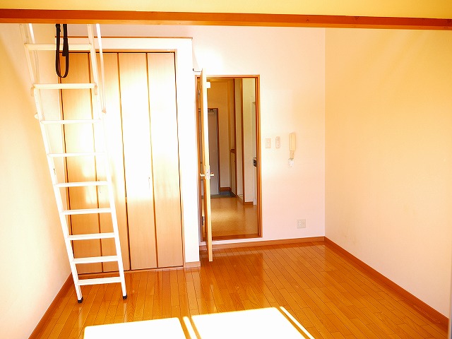 居室・リビング　落ち着いた色調の洋室です