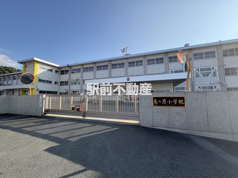 小学校　天の原小学校（小学校）まで300m