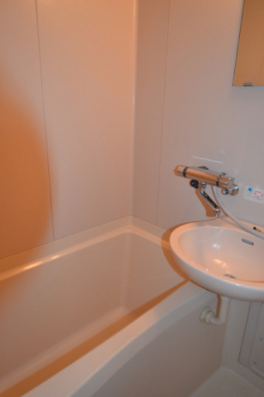 バス・シャワールーム　※他号室の写真です