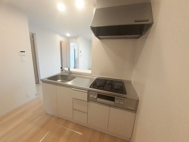 レゴリス Iのキッチン写真
