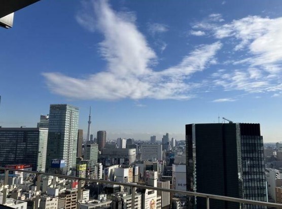 眺望　※別部屋の参考写真です。