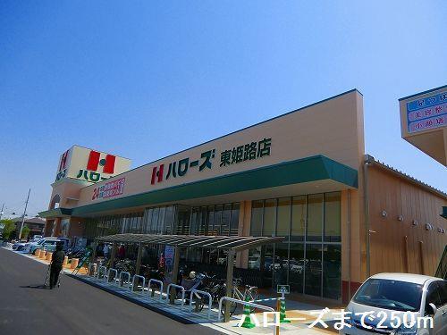 その他　ハローズまで250m
