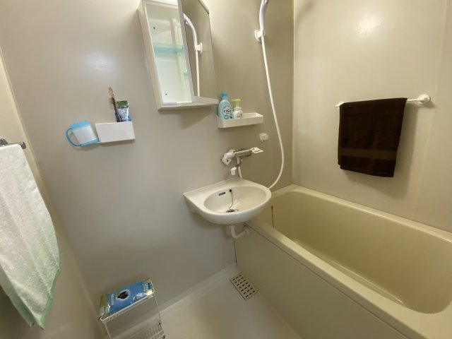 バス・シャワールーム　※装飾品はイメージです