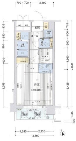 プレサンス京大東の間取り