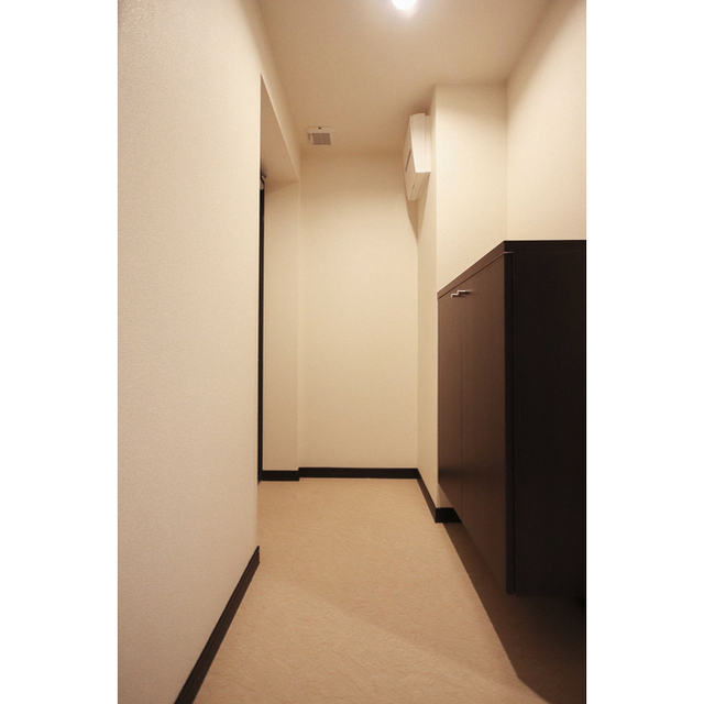 玄関　シューズボックス付き