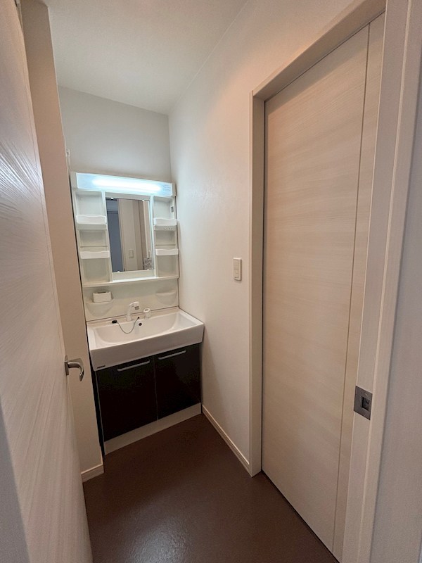 洗面設備　シャンプードレッサー