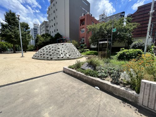 公園　小橋公園（公園）まで244m