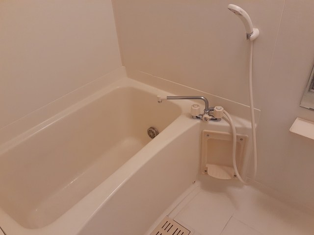 バス・シャワールーム　同物件内参考画像