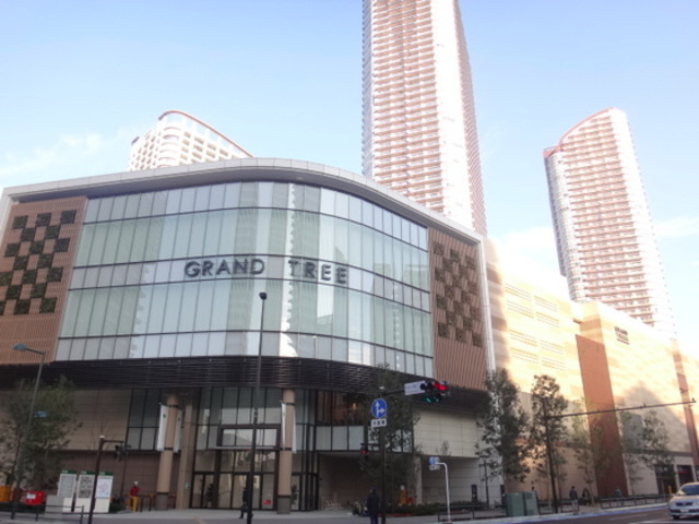 スーパー　イトーヨーカドーグランツリー武蔵小杉店（スーパー）まで771m