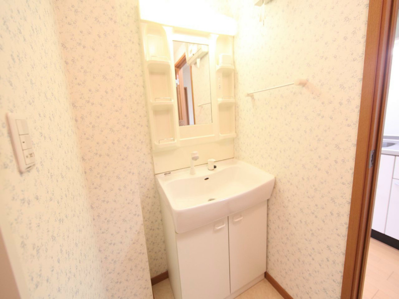 洗面設備　脱衣所　独立洗面台（シャンプードレッサー付）収納スペース有