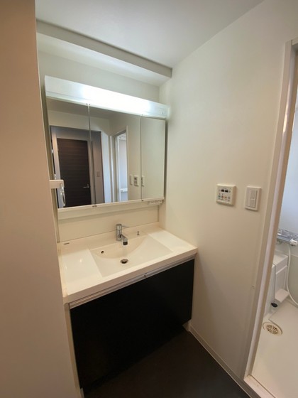 洗面設備　※別部屋の写真です