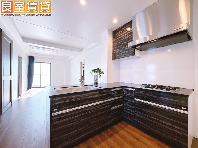 キッチン　システムキッチン