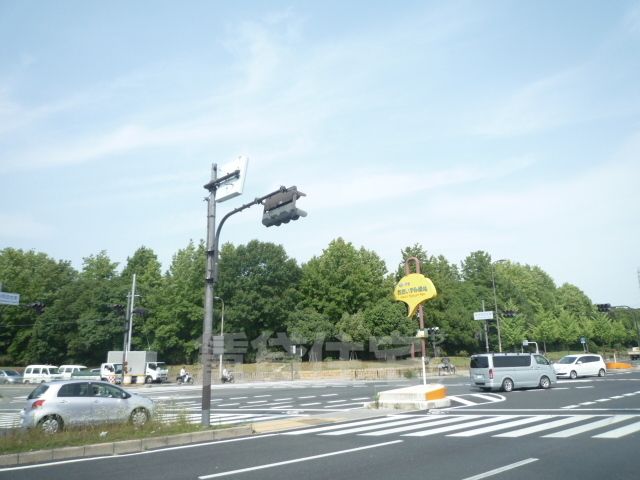 公園　大阪府営大泉緑地（公園）まで3085m