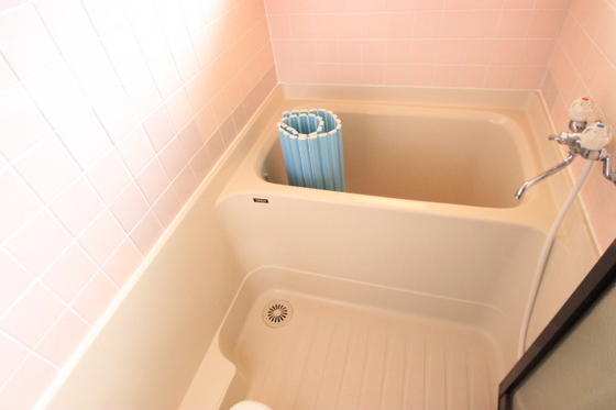 バス・シャワールーム　※別部屋の写真です