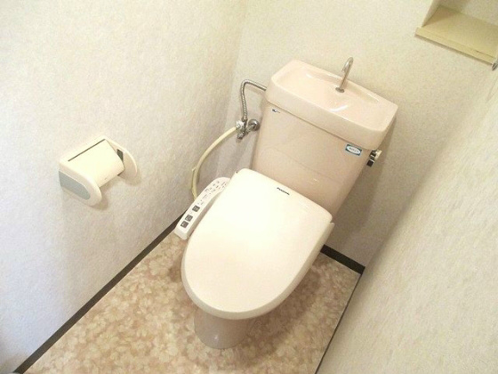 近鉄大阪線 河内山本駅 徒歩15分 6階建 築33年のトイレ写真