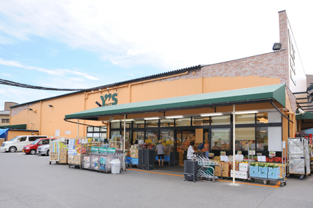 スーパー　Y’s mart(ワイズマート) 中葛西店（スーパー）まで522m