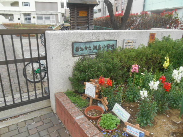 小学校　横浜市立綱島小学校（小学校）まで637m