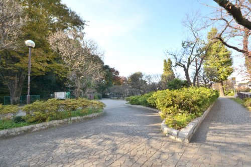 公園　赤塚溜池公園（公園）まで609m