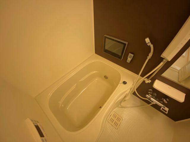 バス・シャワールーム　他室写真