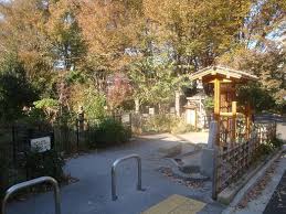 公園　船橋三丁目能勢公園（公園）まで693m