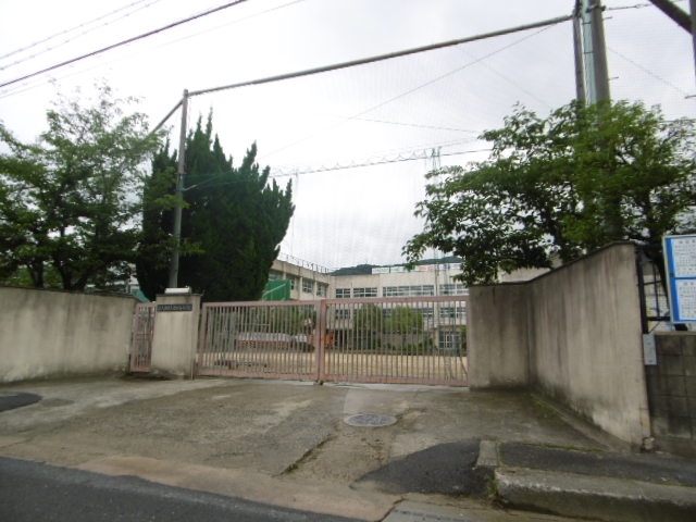 小学校　東大阪市立 孔舎衙小学校（小学校）まで209m