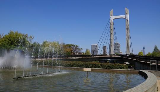 公園　木場公園（公園）まで977m