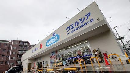 その他　ウエルシアつくば洞峰公園通り店（その他）まで250m