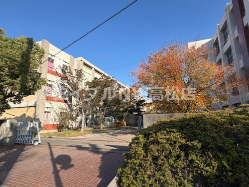 中学校　高松市立玉藻中学校（中学校）まで558m