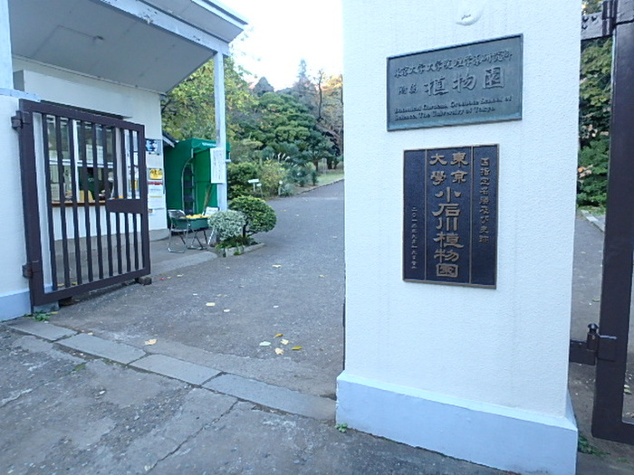 公園　小石川植物園（公園）まで150m