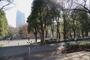 公園　新宿中央公園（公園）まで1050m