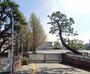 小学校　川崎市立下沼部小学校（小学校）まで828m