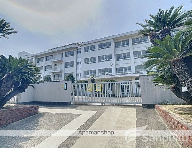 小学校　石井東小学校（小学校）まで556m