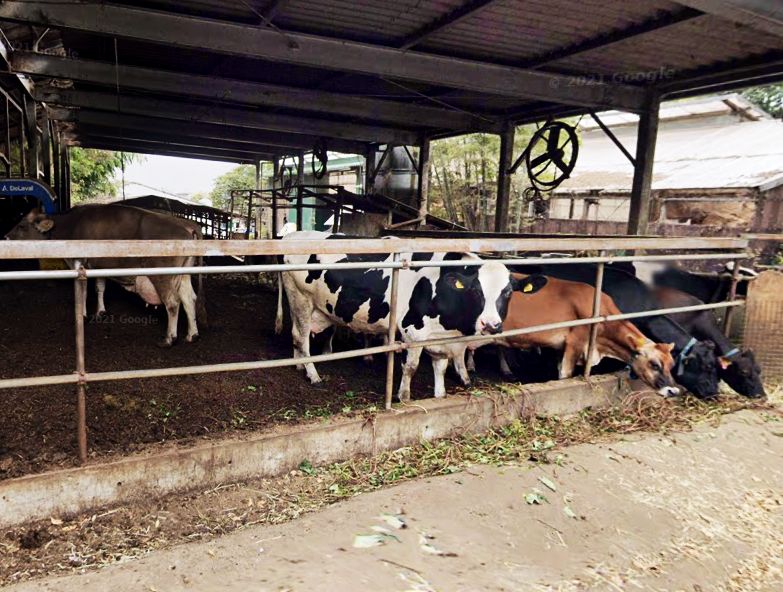 その他　磯沼牧場　TOKYO FARM VILLAGE（その他）まで436m