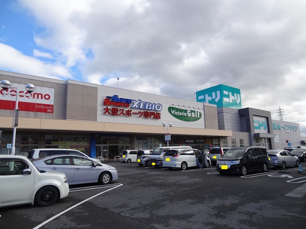 ホームセンター　ニトリ津店（ホームセンター）まで955m