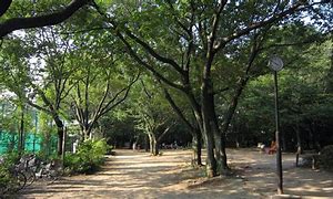 公園　駒場野公園（公園）まで616m