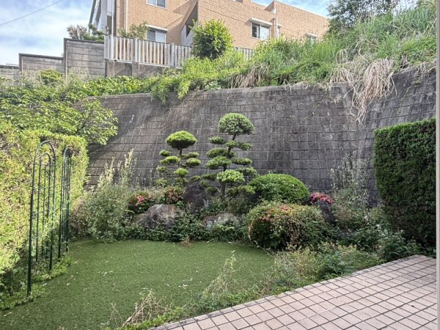 庭
