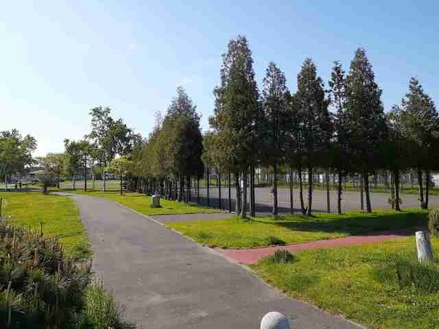 公園　札苗東公園（公園）まで259m